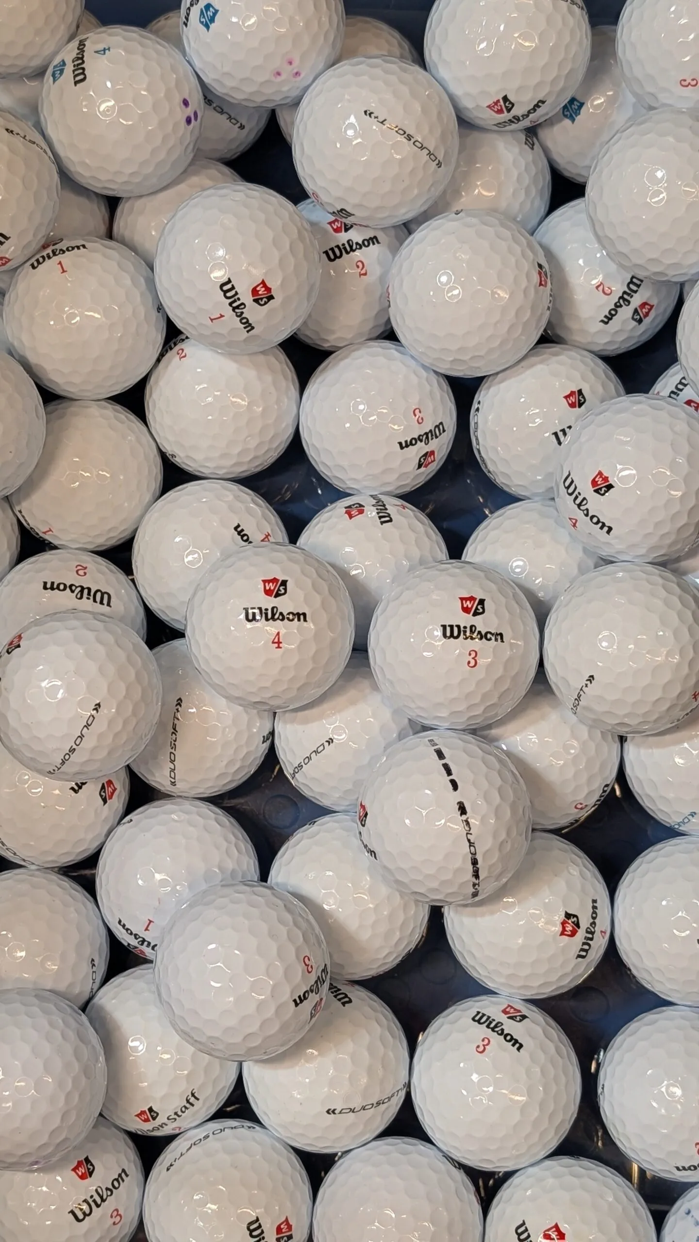 Wilson Duo Soft
